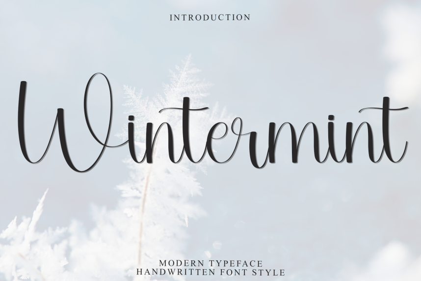 Wintermint - Modern Handwritten Font - Befonts