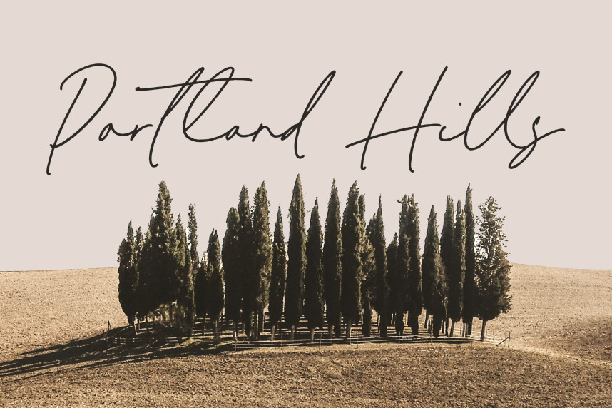 Melisma Signature Font preview image 3
