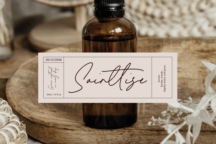Melisma Signature Font preview image 4