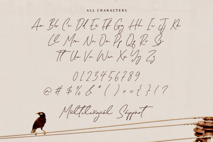 Melisma Signature Font preview image 5