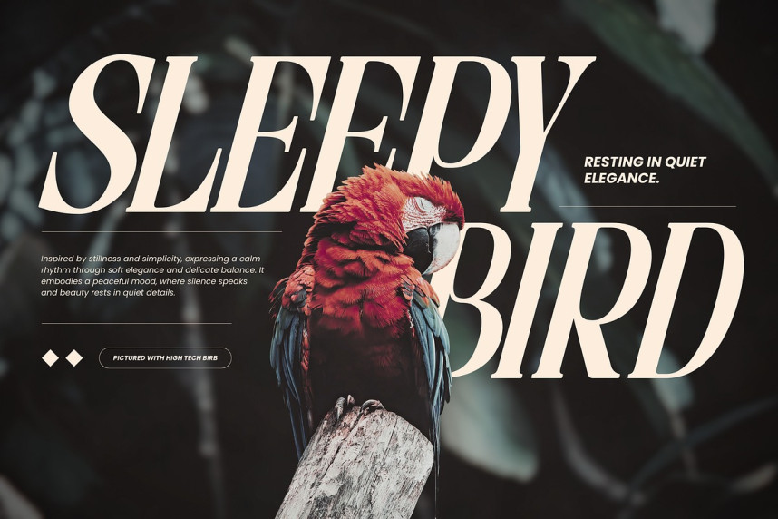 Astella Luxury Font preview image 4