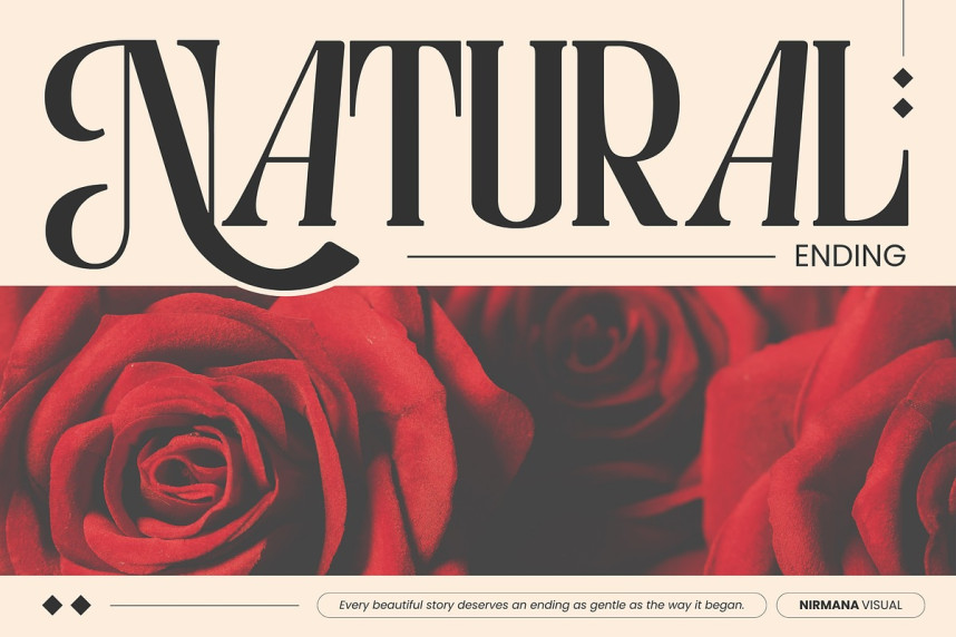 Astella Luxury Font preview image 2