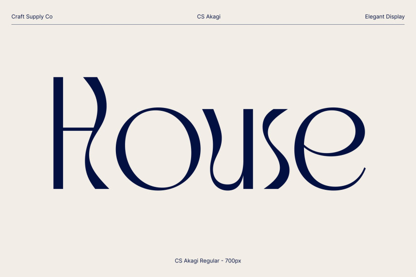 CS Akagi Font preview image 2