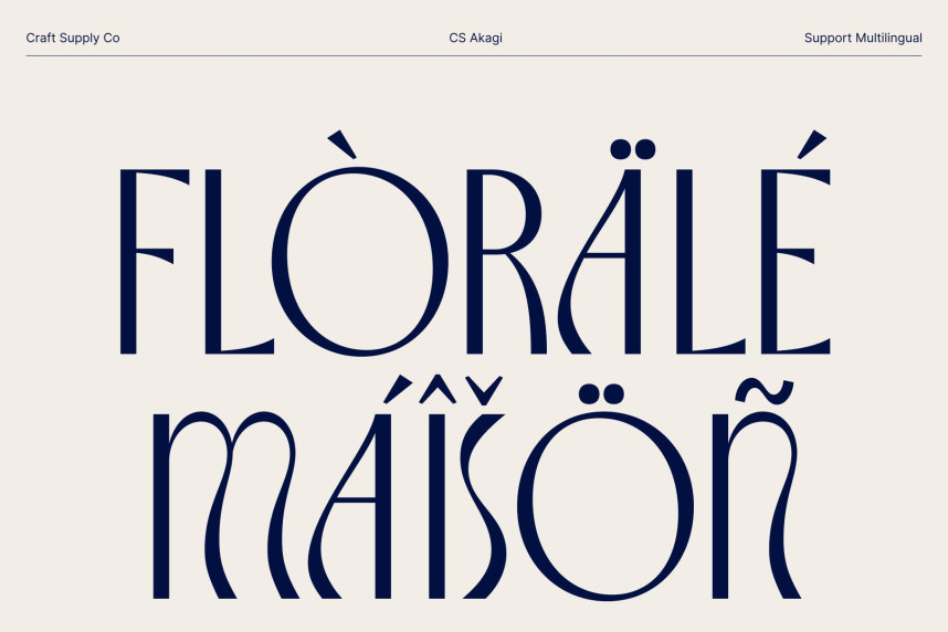 CS Akagi Font preview image 4