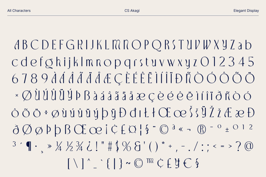 CS Akagi Font preview image 5