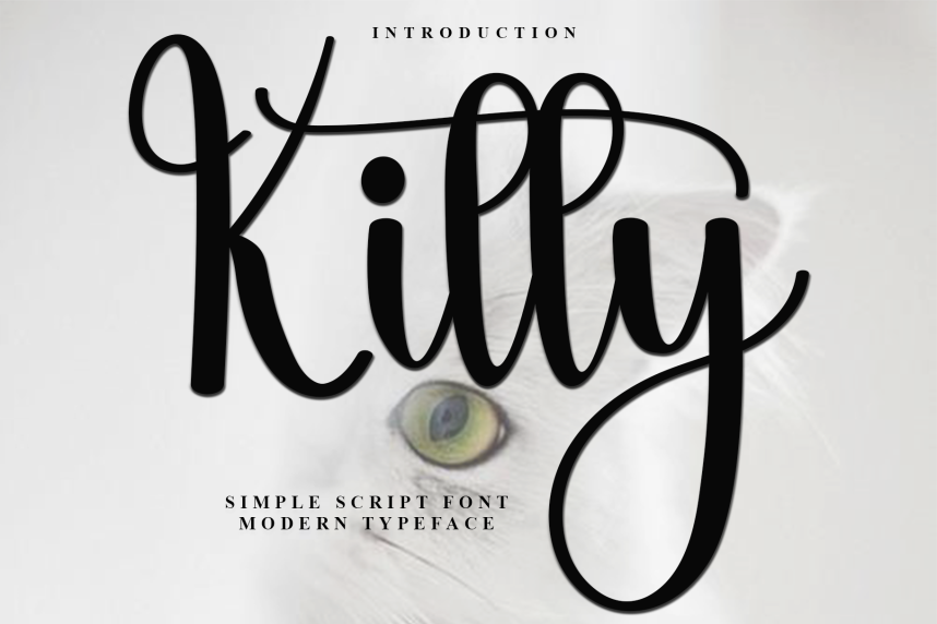 Kitty – Natural Script Handwritten Font - Befonts