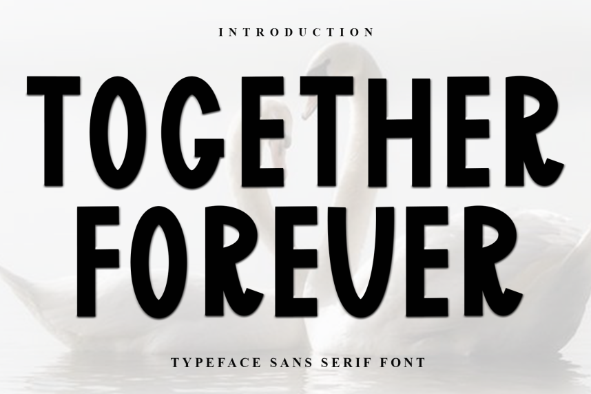 Together Forever Display Font - Befonts