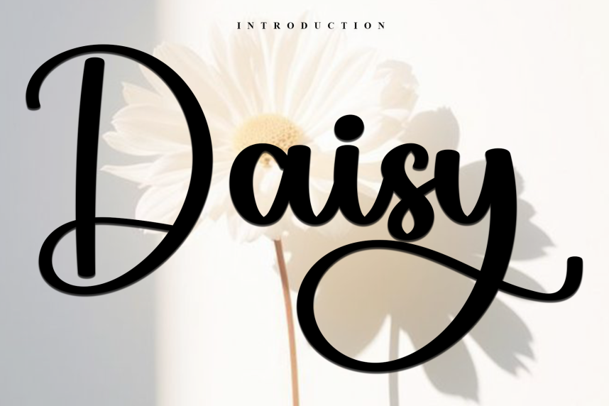 Daisy – Casual Handwritten Script Font - Befonts