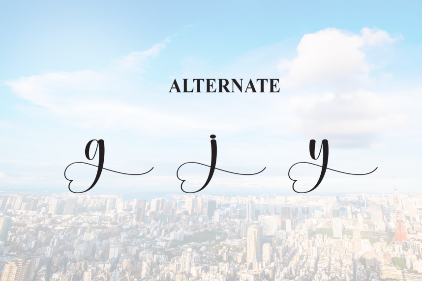 Skyline Script Font preview image 5