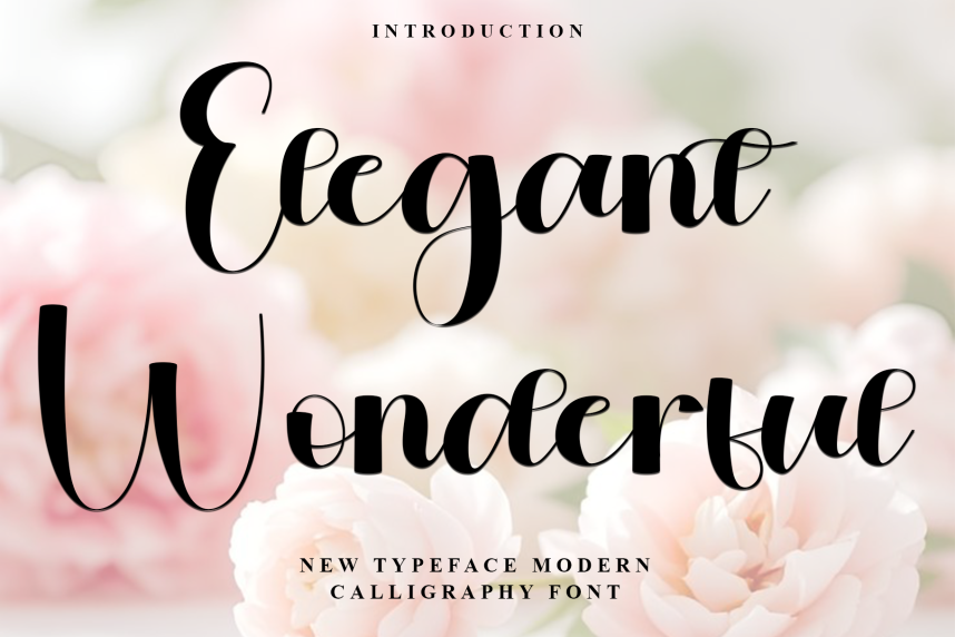 Wonderful Script Elegant Wonderful Script Font - Befonts