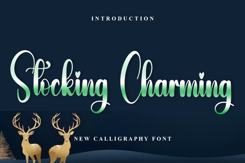 Stocking Charming – Elegant Handwritten Font - Befonts