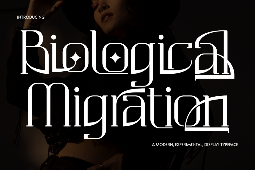 Migration Lettering Design Biological Migration - Elegant Serif Font - Befonts