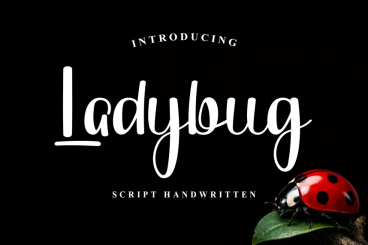 Ladybug Script Font