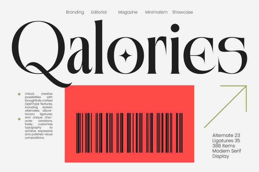 Qalories - Modern Serif Display Font - Befonts