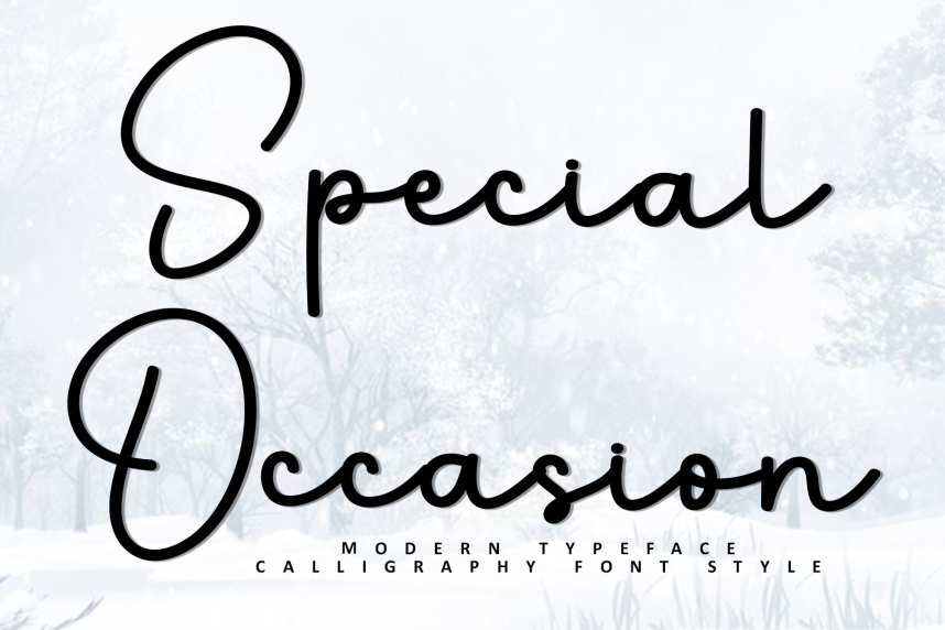 Special Occasion Handwritten Font - Befonts