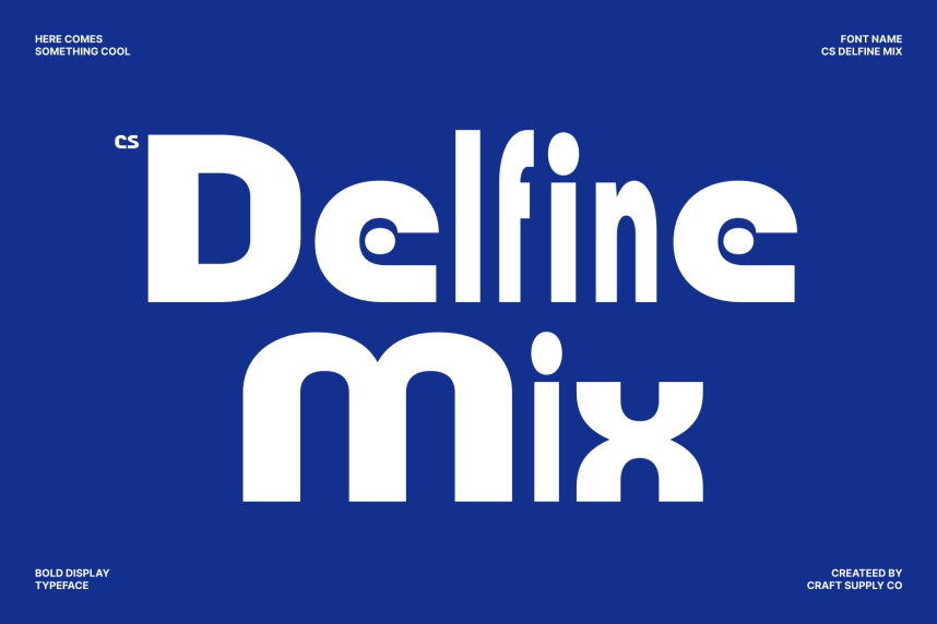 CS Delfine Mix Font preview image 1