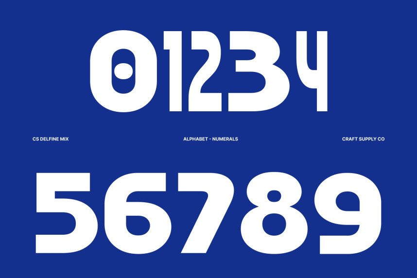 CS Delfine Mix Font preview image 3