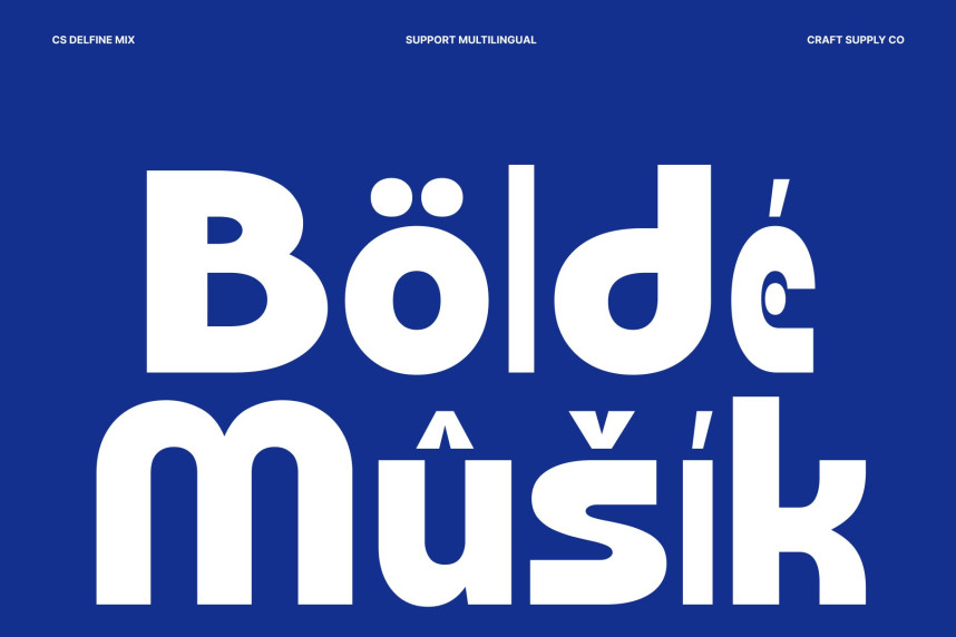CS Delfine Mix Font preview image 4