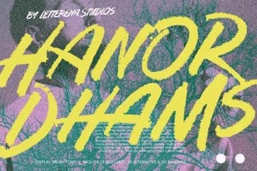 Hanor Dhams – Display Brush Font