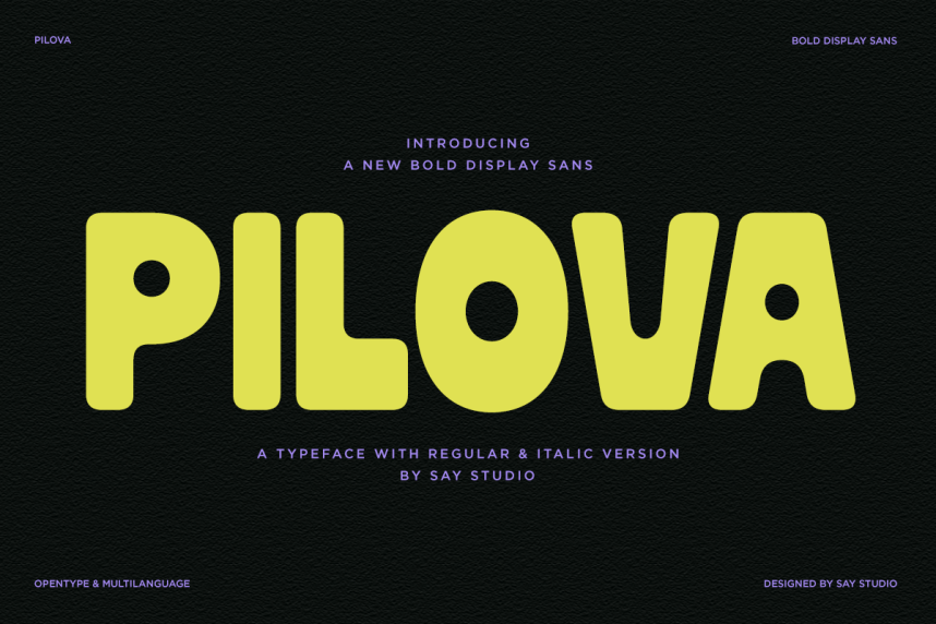 Sign Script Fonts Pilova Font - Befonts