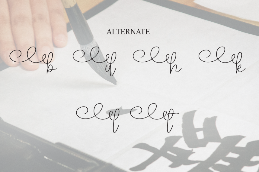 Calligraphy Handwritten Script Font preview image 5