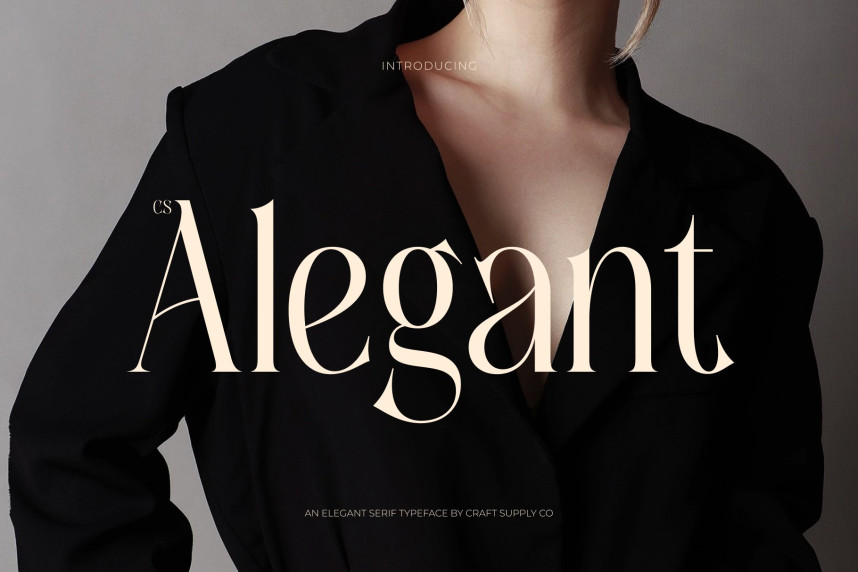 CS Alegant Font - Befonts