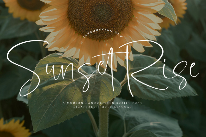 Numbers Font Stye Sunset Rise Handwritten Font - Befonts