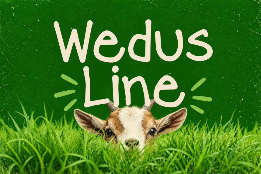 Wedos Line Font - Befonts